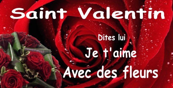 fleurs-saint-valentin