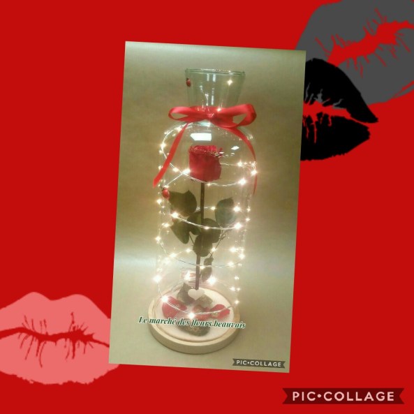 Collage 2019-02-07 20_14_32