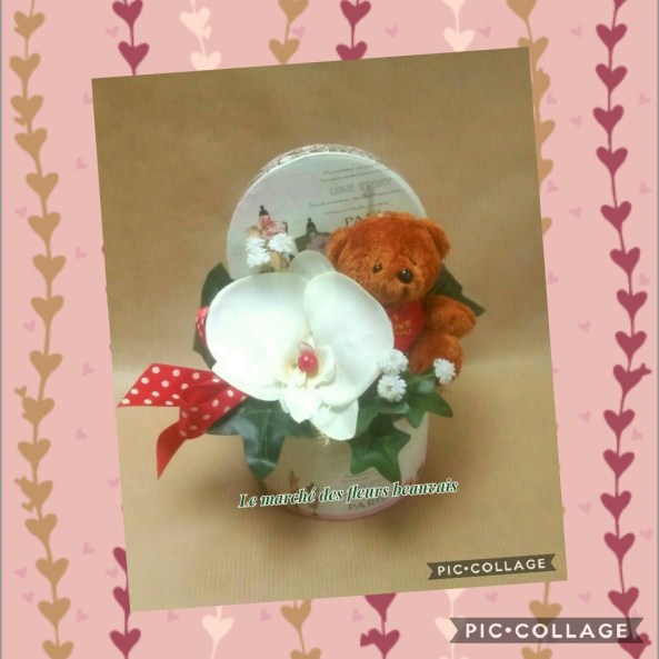 Collage 2019-02-08 14_00_03