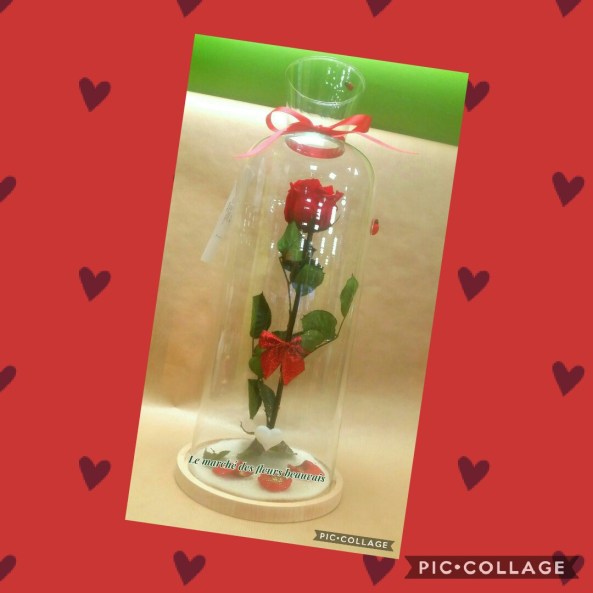 Collage 2019-02-08 14_04_21