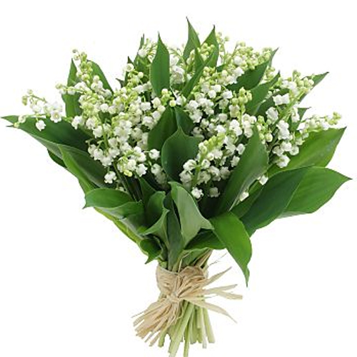 bouquet_rond_compose_de_muguet_uniquement_3028_500