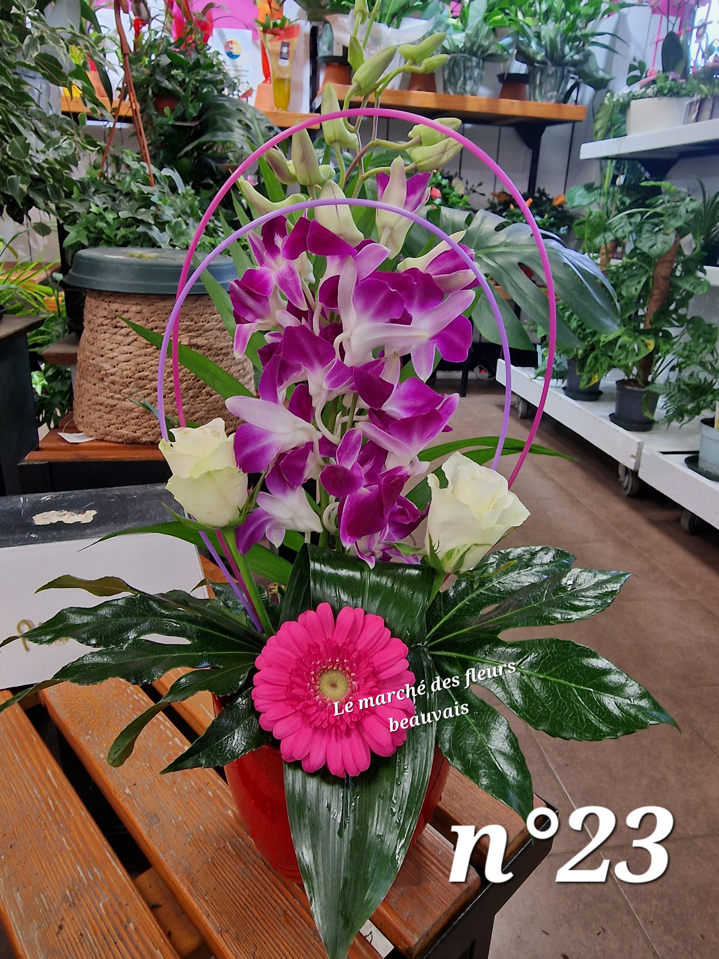 à partir de 21.90 €